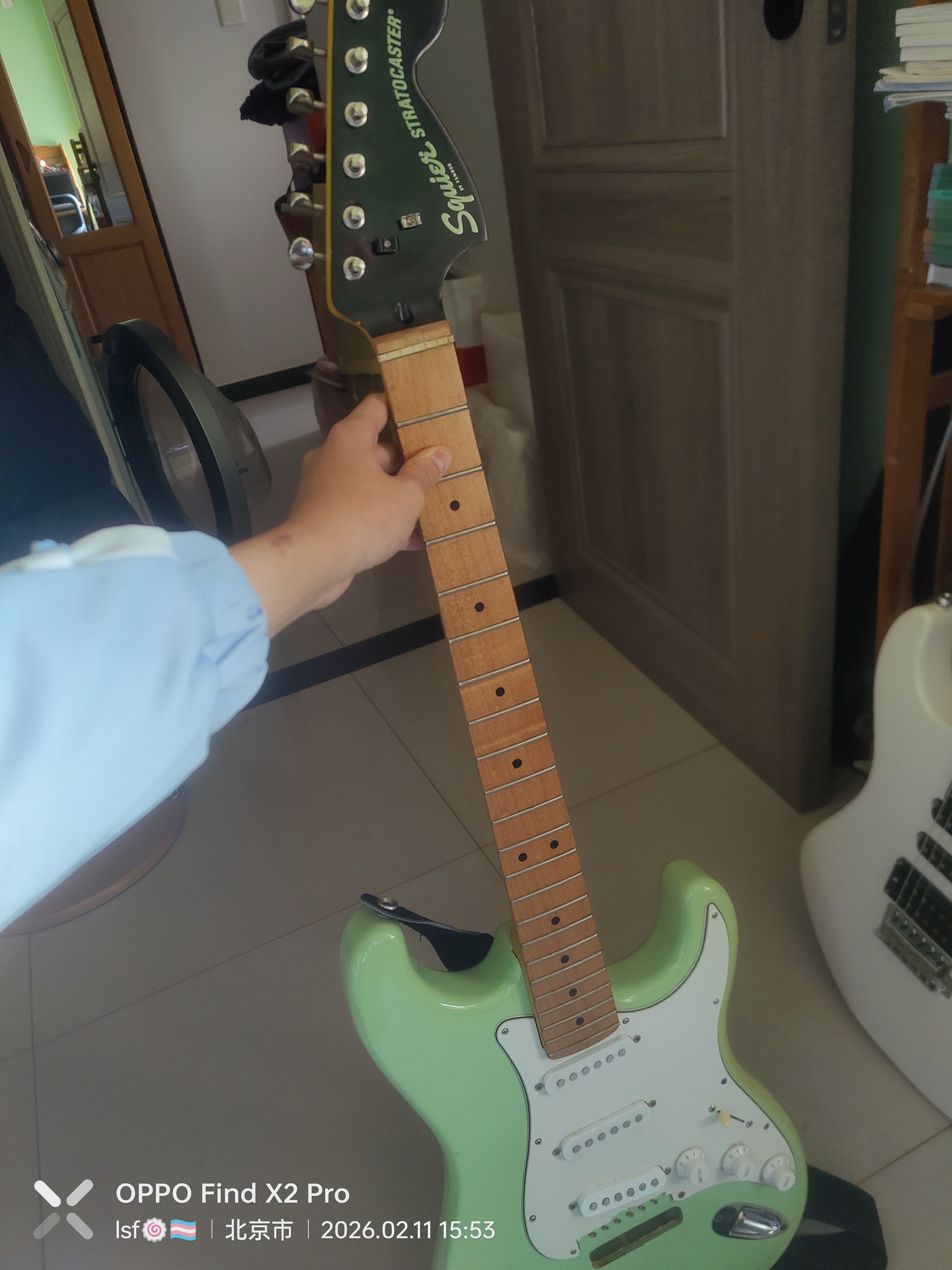 lsf的图，严禁盗用