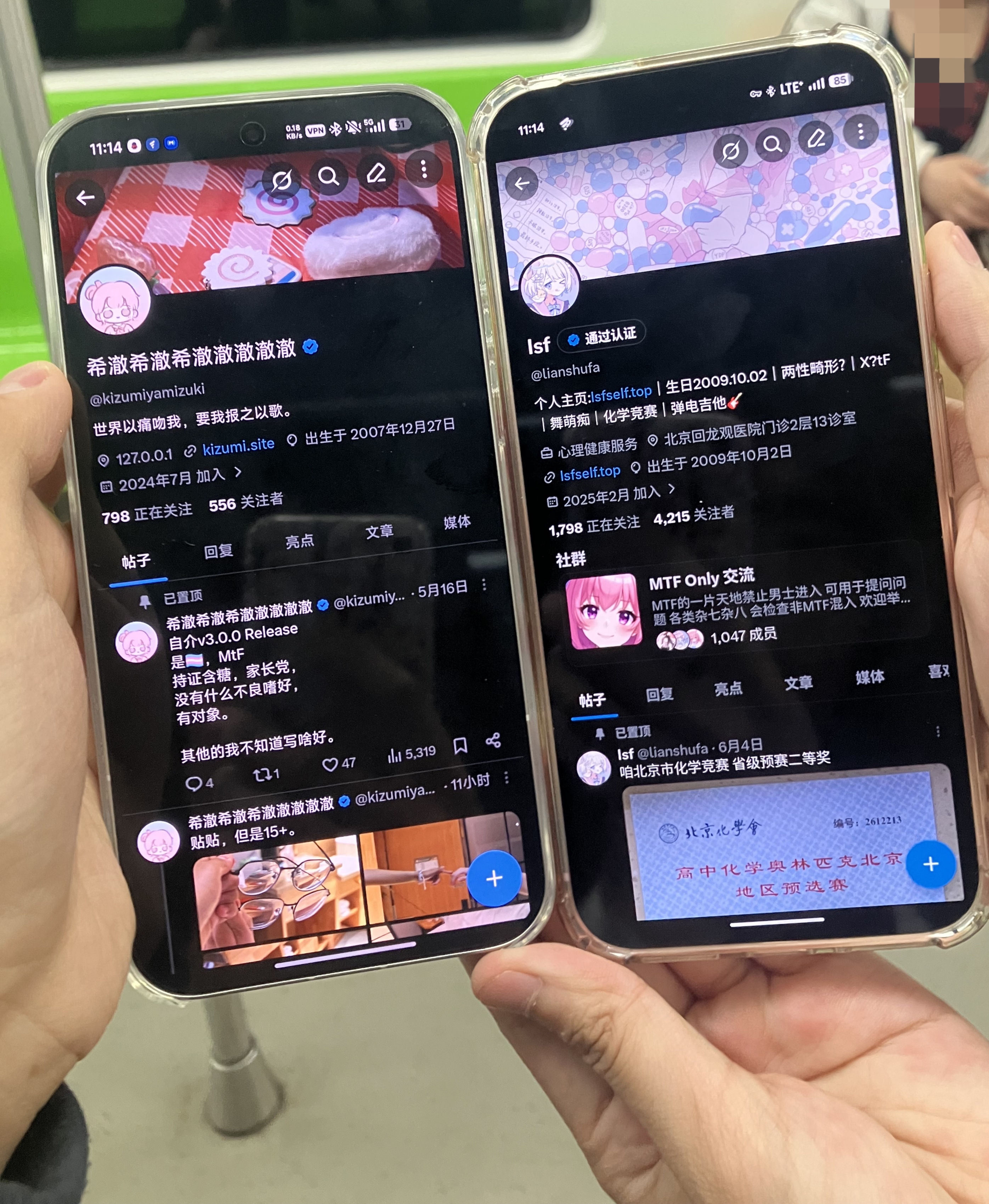 lsf的图，严禁盗用